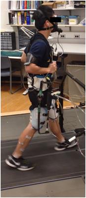 Influence of Power Delivery Timing on the Energetics and Biomechanics of Humans Wearing a Hip Exoskeleton